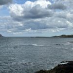 玩转网络老虎机:提高胜率的实用技巧与建议 5g23nn