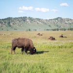 852开奖结果揭晓,最新中奖号码公布 5zsnbx